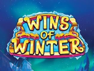 Wins of Winter game cover