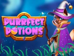 Purrfect Potions game cover