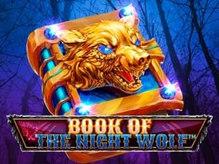 Book Of The Night Wolf game cover