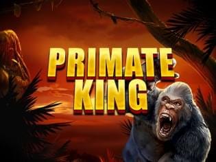 Primate King game cover